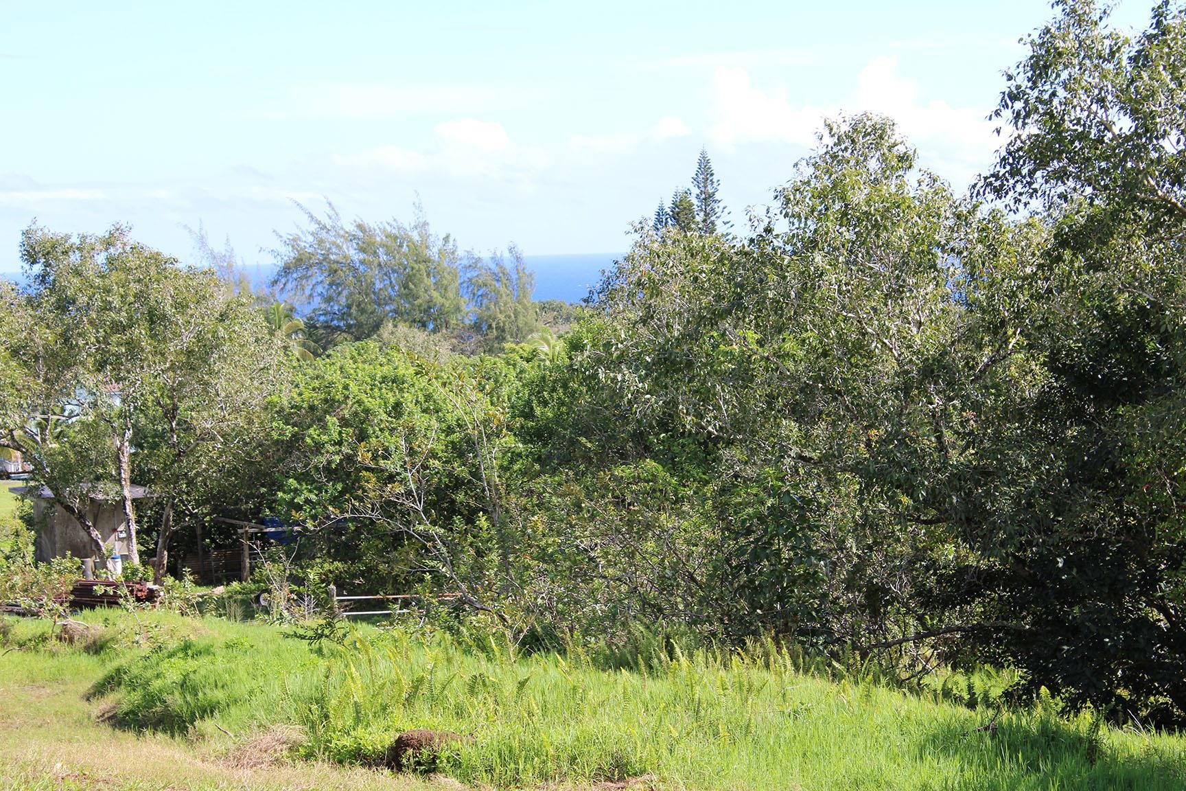 0 Door Of Faith Road Haiku, HI 96708 - Photo 3 of 10