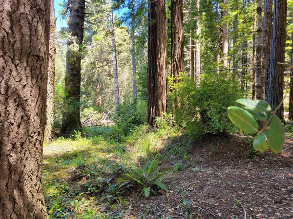 $68,000 | 315 Chinquapin Lane, The Sea Ranch, CA 95497