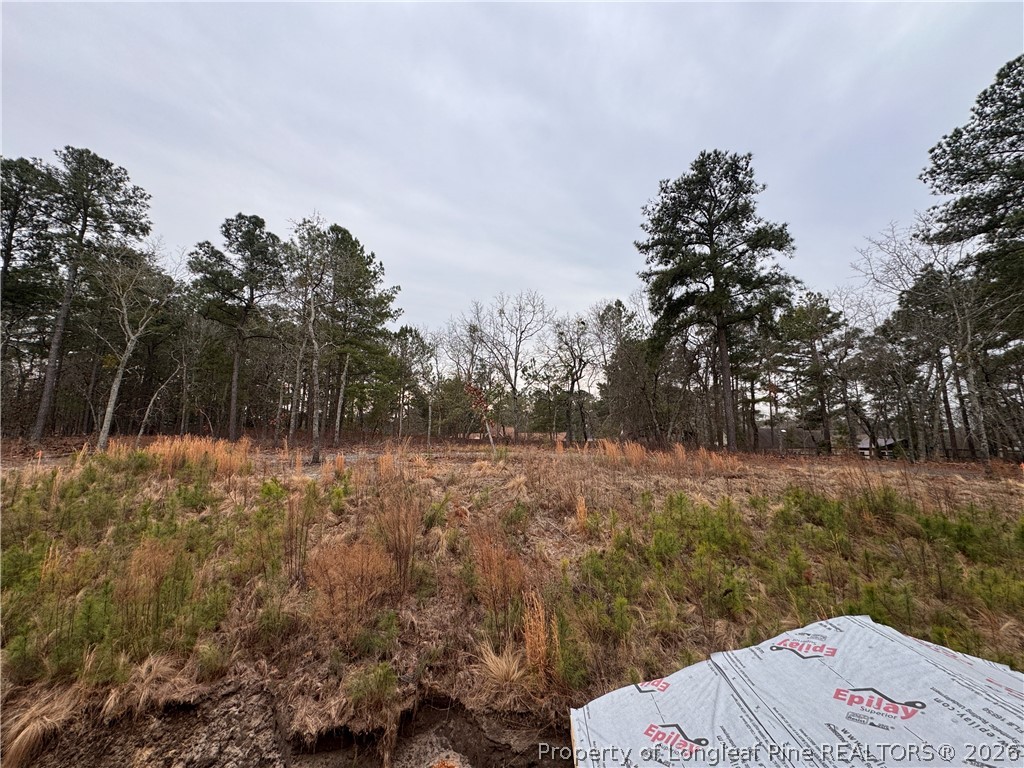 298 Rough Rdg Trail Aberdeen, NC 28315 - Photo 24 of 25 a view of a backyard of a house