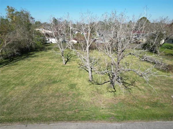 $50,000 | 409 Carlton Street, Brazoria, TX 77422