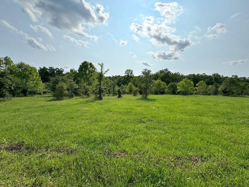 Fearstown Road Randolph, VA 23962 - Photo 13 of 13 Gallery Image 13