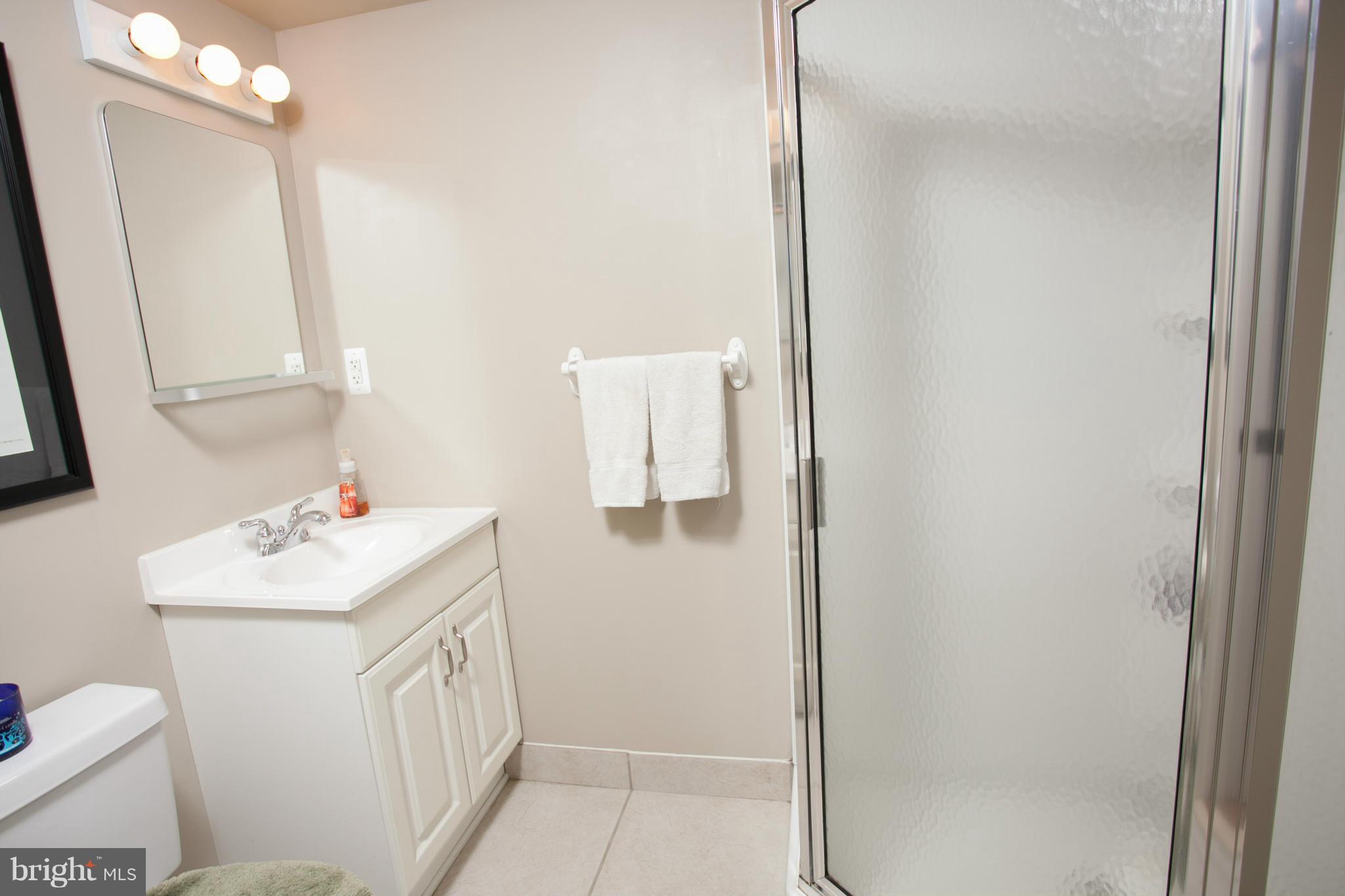 12929 Cunninghill Cove Road Baltimore, MD 21220 - Photo 23 of 28 Lower Level Full Bath w/Ceramic Tile Shower