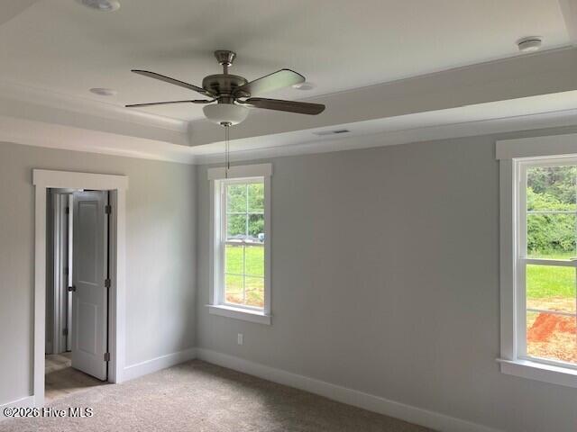 4026 Needham Road Bailey, NC 27807 - Photo 8 of 15 Gallery Image 8
