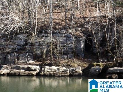 0 Pea Ridge Circle, Unit 424 Union Grove, AL 35175 - Photo 35 of 49