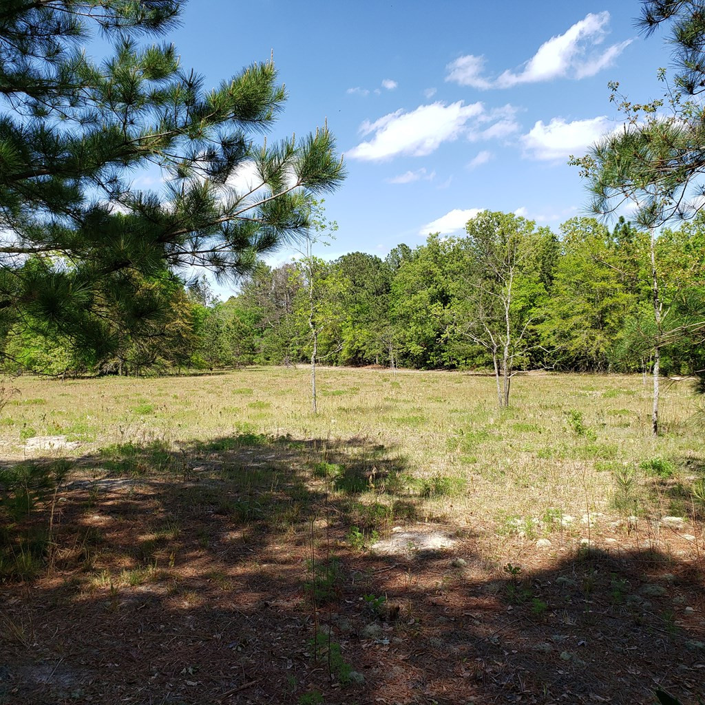 Lot 15 Dairy Road Monetta, SC 29105 - Photo 7 of 10