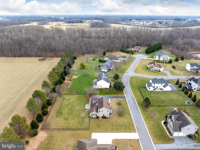 a view of house with a big yard and large trees