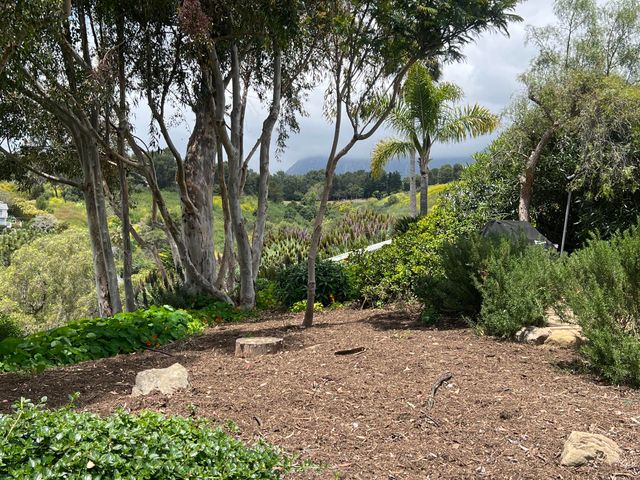 a view of backyard with green space