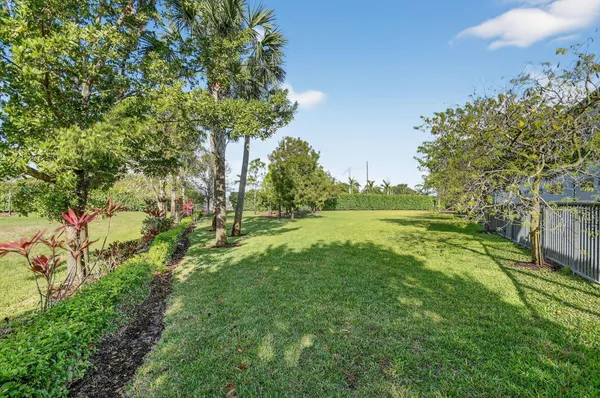 a view of a garden with an trees