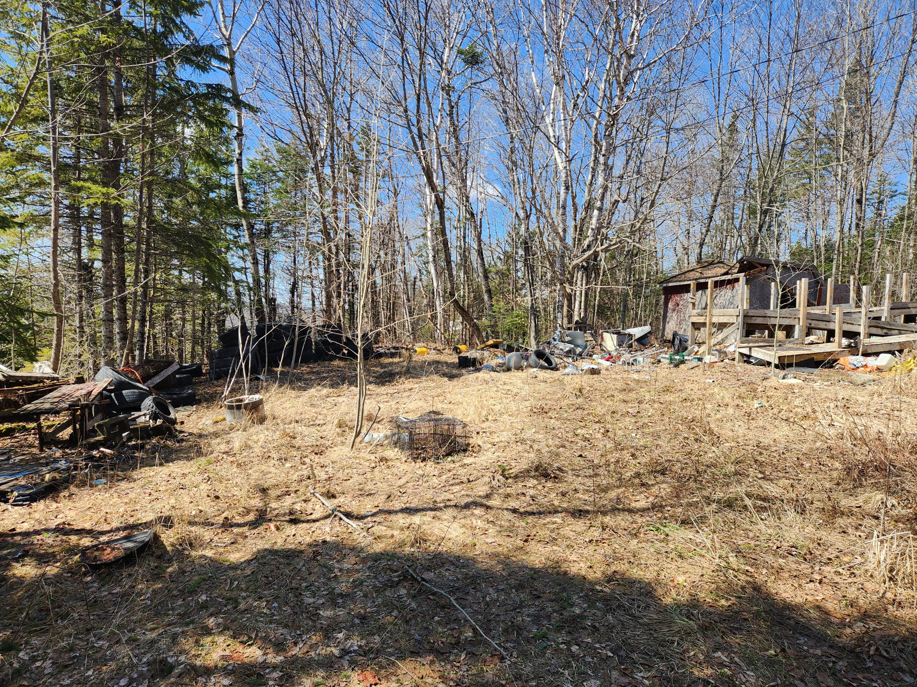 2481 State Road Castle Hill, ME 04757 - Photo 6 of 12 2026-04-17 13.10.11