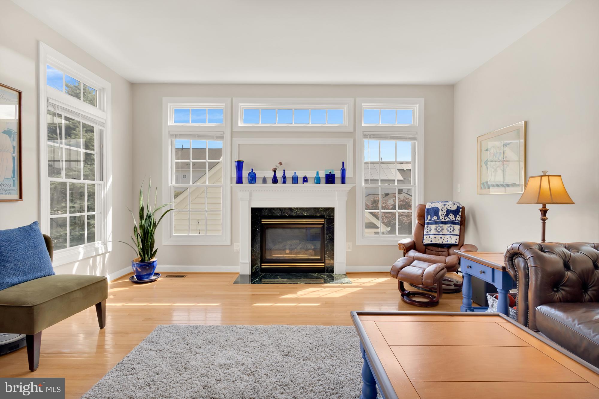 618 Linslade Street Gaithersburg, MD 20878 - Photo 21 of 71 Gas fireplace