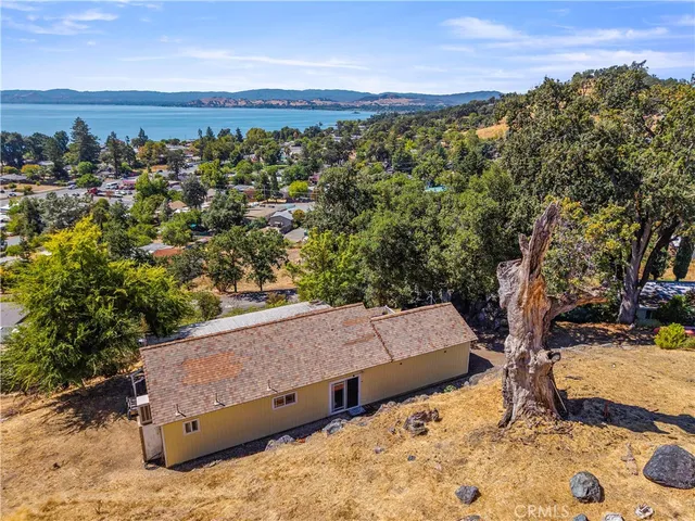 an aerial view of a large trees