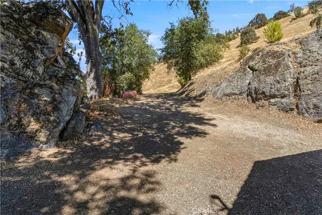 a view of a tree with a yard