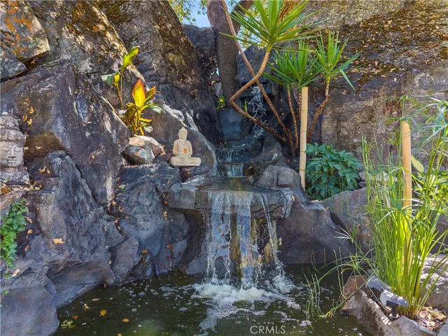 a picture of flowers