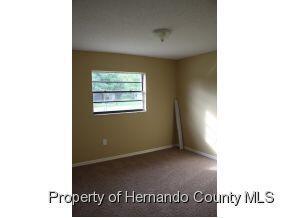 7400 Dundee Way Weeki Wachee, FL 34613 - Photo 8 of 14