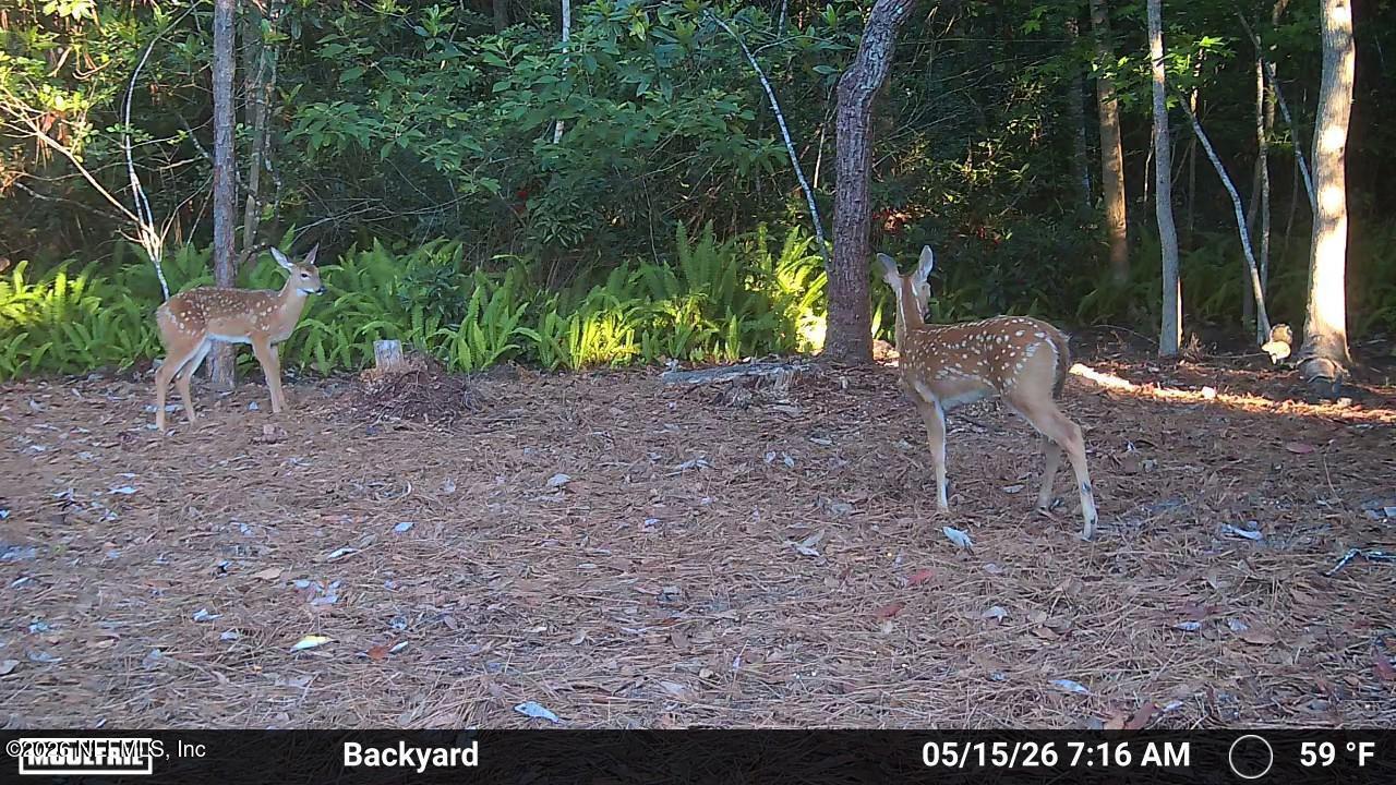 1204 Creek Bend Road St. Johns, FL 32259 - Photo 100 of 107 Regular visitors