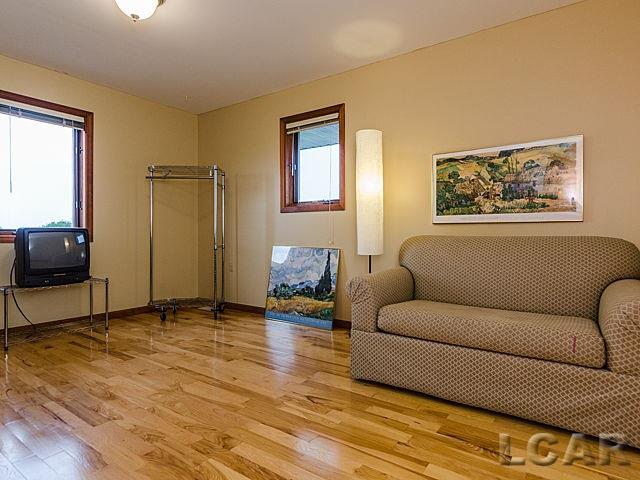 7801 Clinton Macon Road Clinton, MI 49236 - Photo 33 of 38