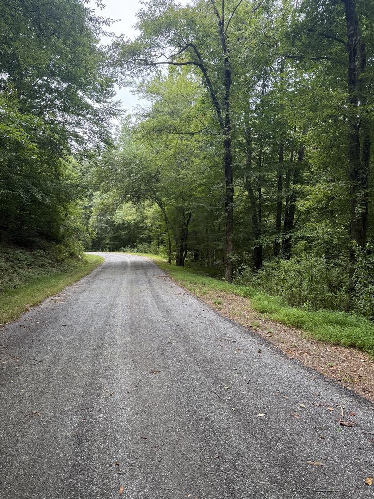 0 Henson Road Hayesville, NC 28904 - Photo 1 of 28 Main View