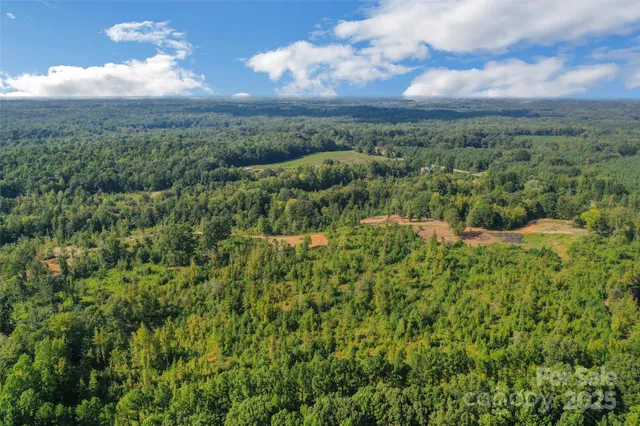 a view of a lake in middle of forest