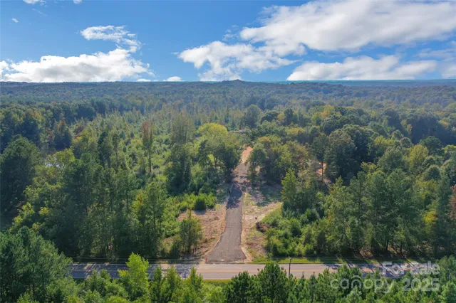 a view of a forest with a lush green forest