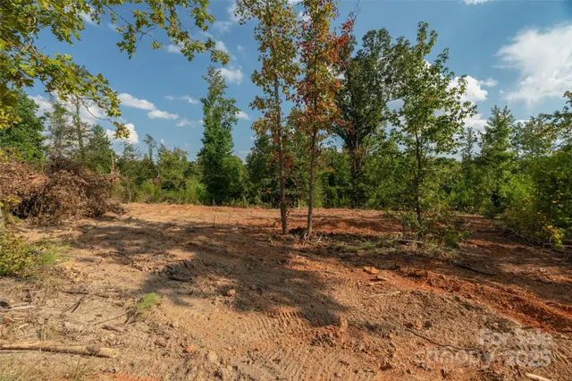 a view of a yard with a tree
