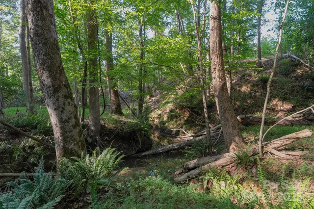 a view of a yard with a tree