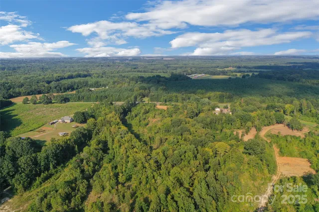 a view of a bunch of trees and bushes