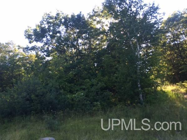 Tbd Centennial Heights Road Calumet, MI 49913 - Photo 4 of 9