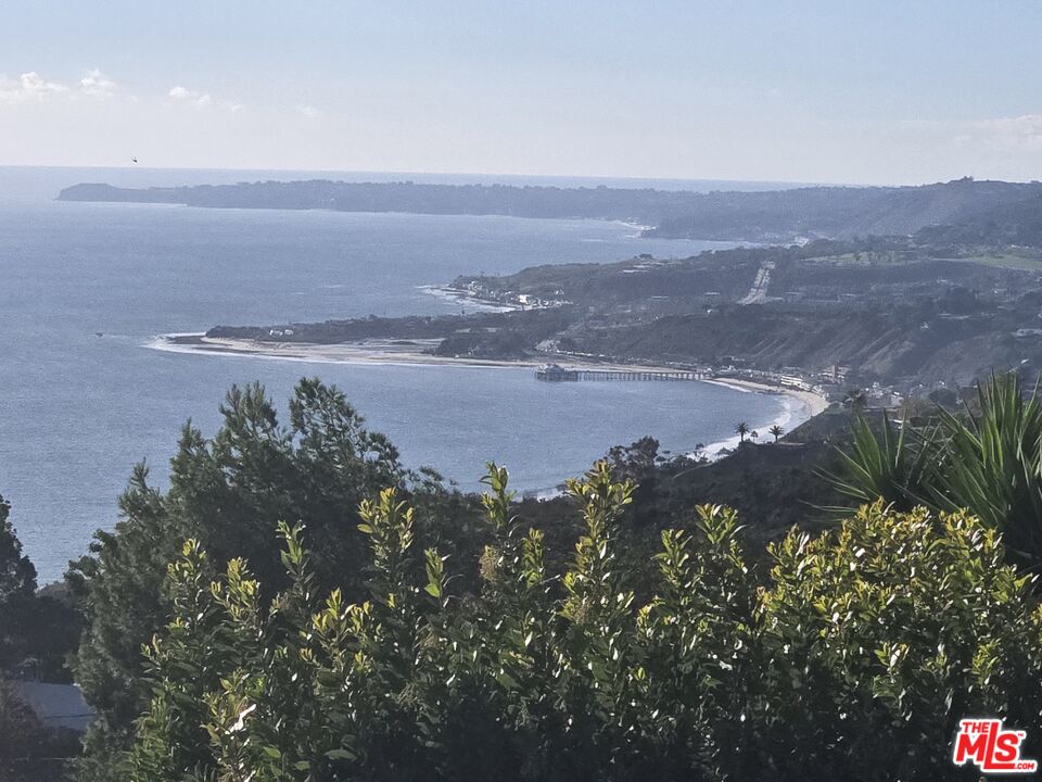 a view of a lake in middle of forest
