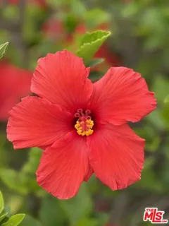 $3,345,000 | 20776 Big Rock Drive, Malibu, CA 90265