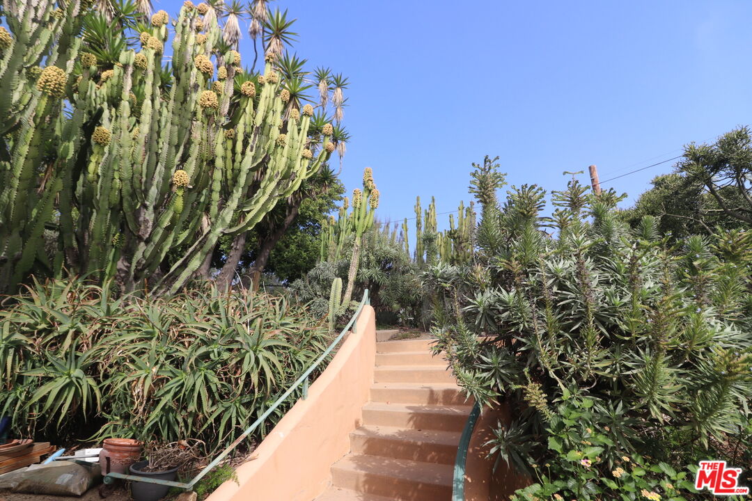 20776 Big Rock Drive Malibu, CA 90265 - Photo 35 of 67 a view of a garden with plants