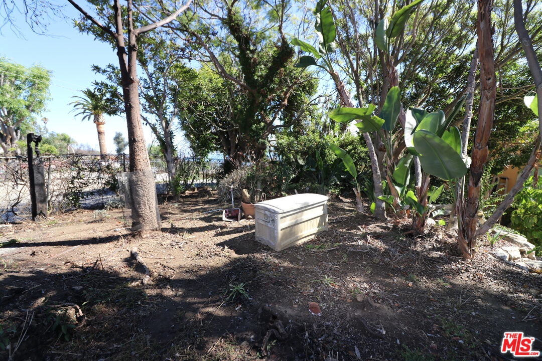 20776 Big Rock Drive Malibu, CA 90265 - Photo 41 of 67 a view of a tree with yard
