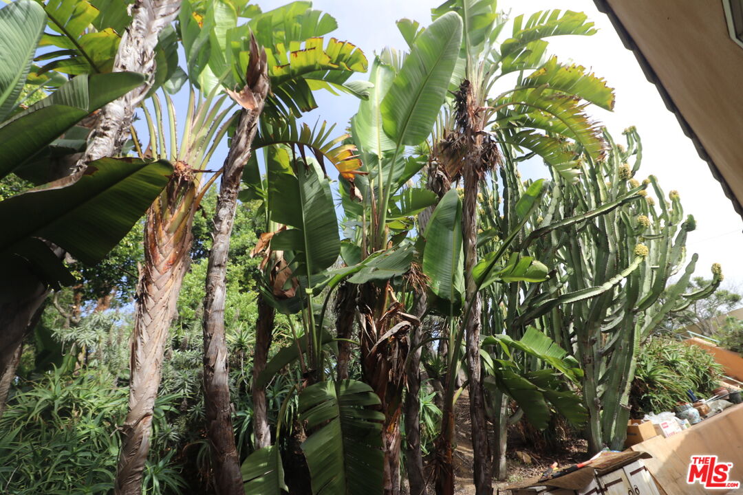 20776 Big Rock Drive Malibu, CA 90265 - Photo 48 of 67