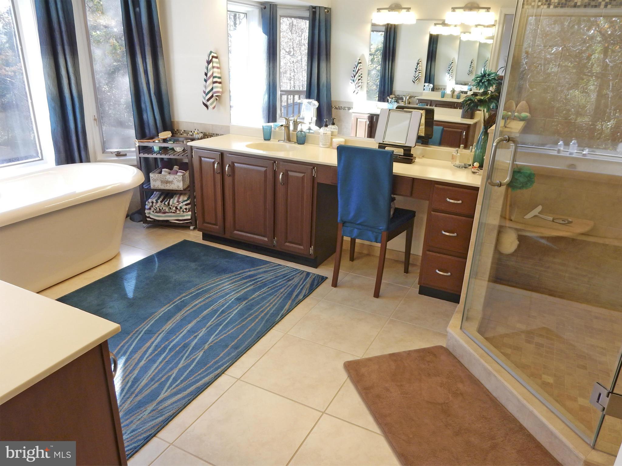 5503 Rixeyville Road Rixeyville, VA 22737 - Photo 17 of 30 Bath (Master)