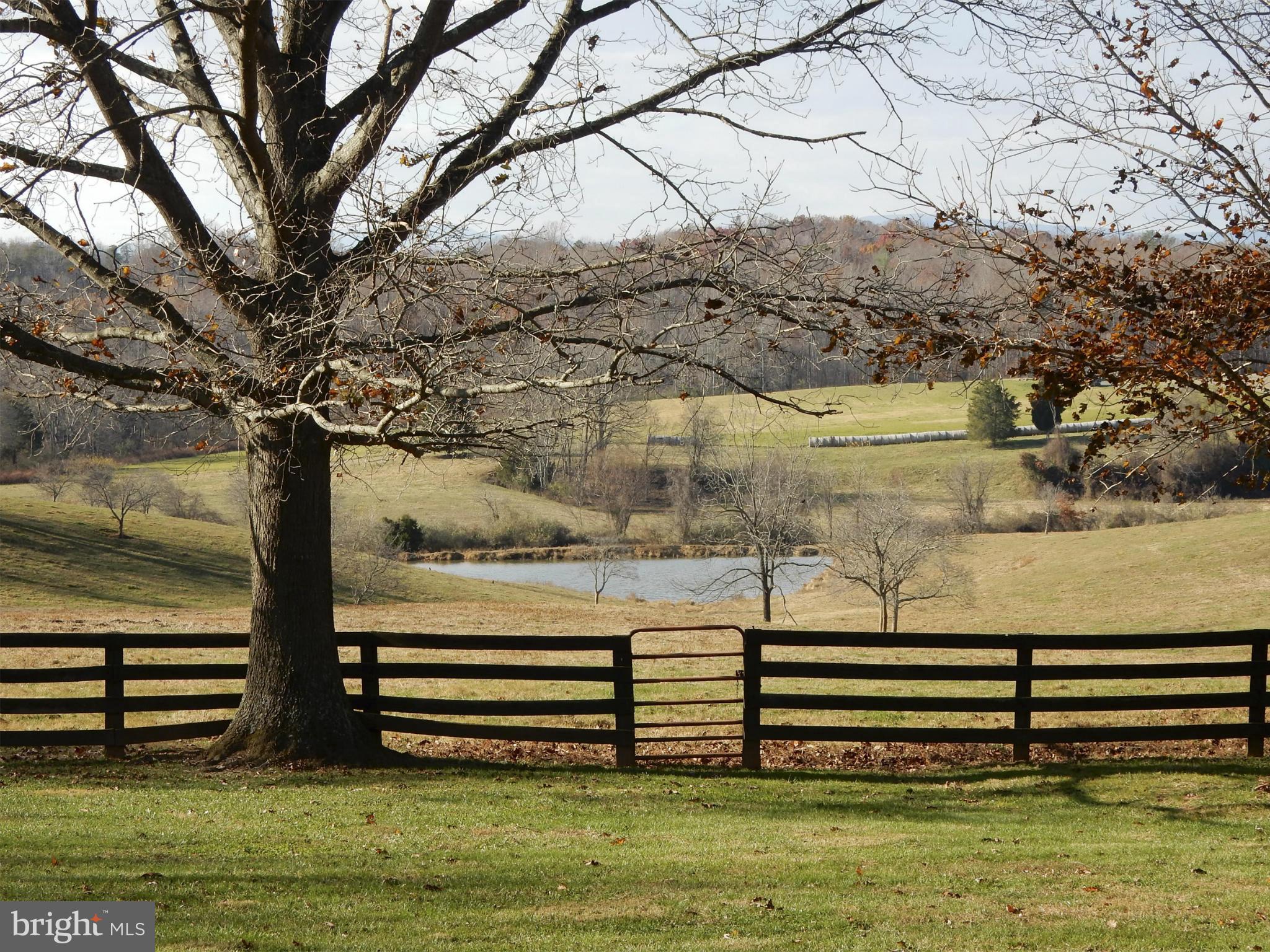 5503 Rixeyville Road Rixeyville, VA 22737 - Photo 22 of 30 Pasture and pond