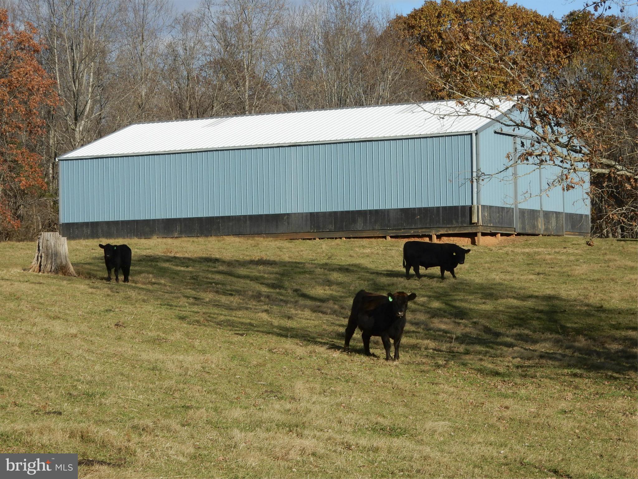 5503 Rixeyville Road Rixeyville, VA 22737 - Photo 24 of 30 Barn