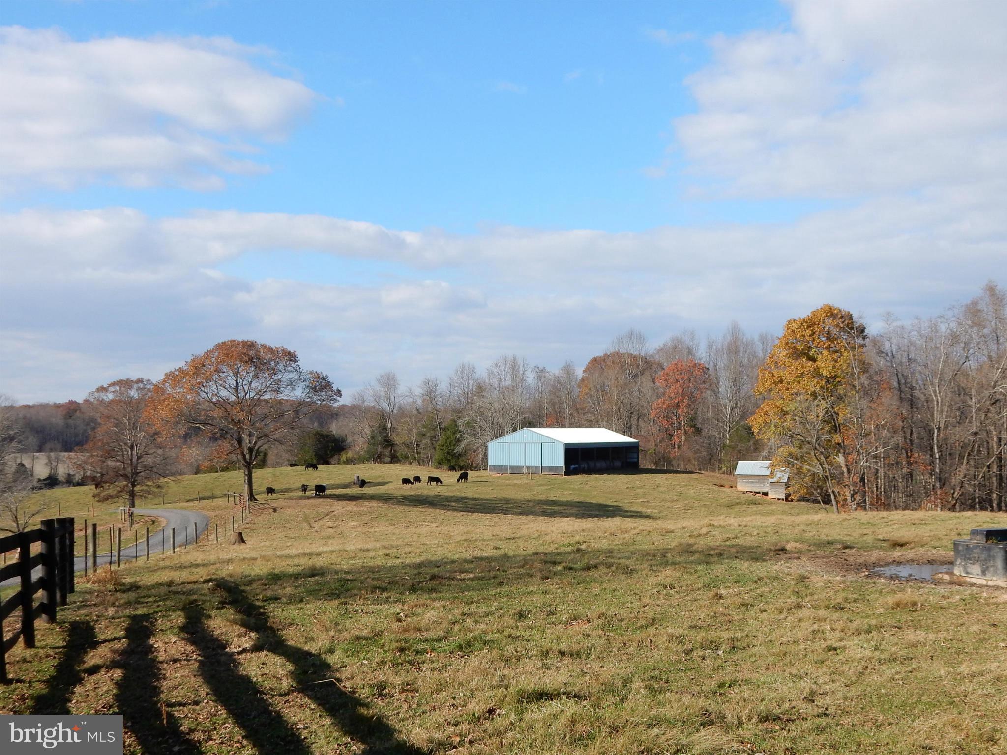 5503 Rixeyville Road Rixeyville, VA 22737 - Photo 27 of 30 Pasture and barn