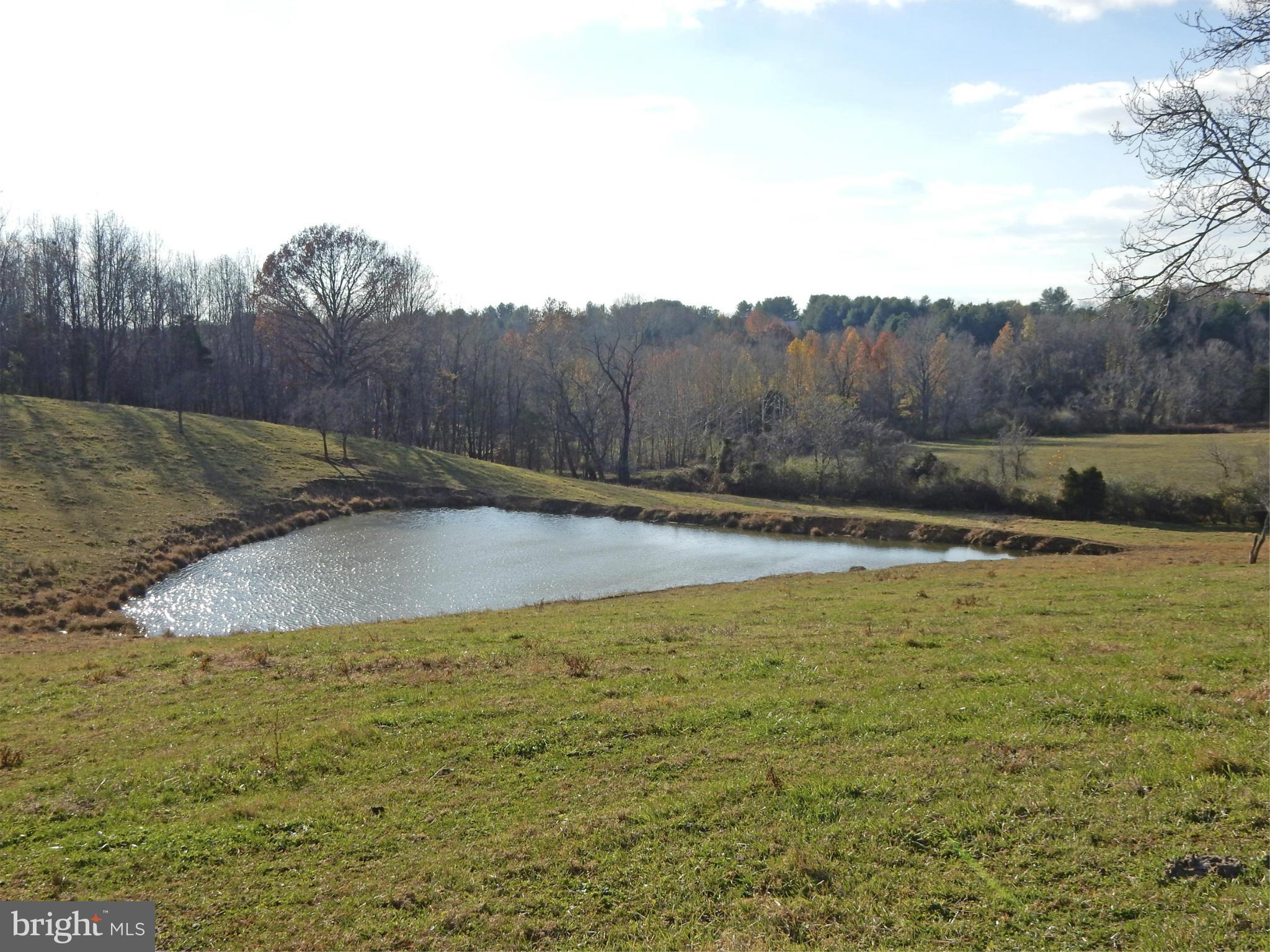 5503 Rixeyville Road Rixeyville, VA 22737 - Photo 29 of 30 Pond
