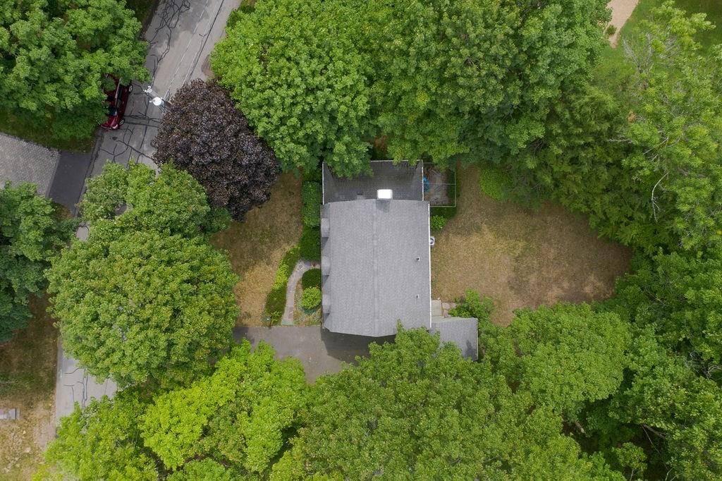 11 Wildon Road Wellesley, MA 02482 - Photo 4 of 7