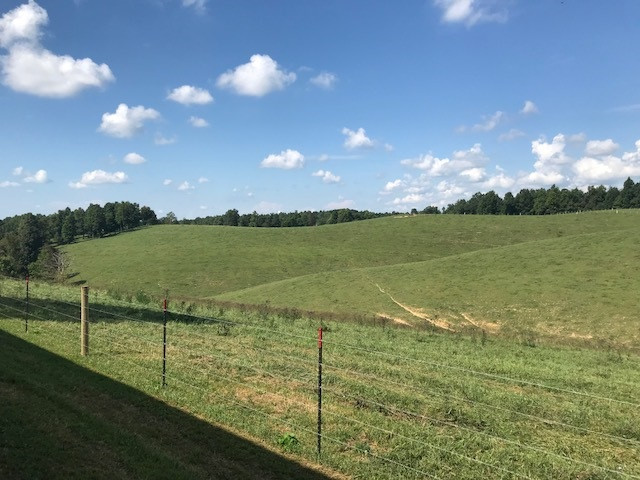 685 Rosedale Road Morehead, KY 40351 - Photo 15 of 22 Gallery Image 15