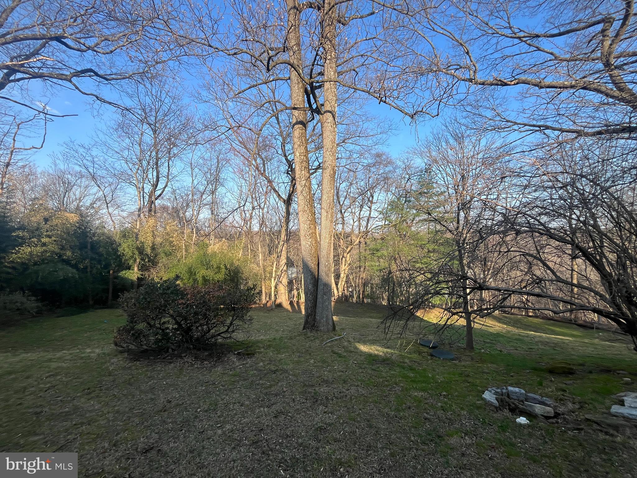 50 Fairview Road Penn Valley, PA 19072 - Photo 48 of 52 Backyard