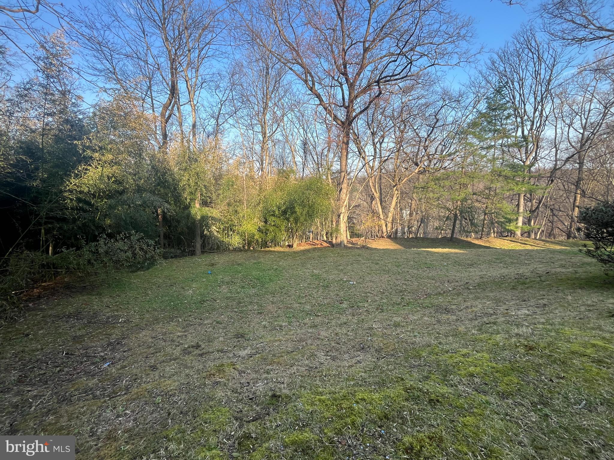 50 Fairview Road Penn Valley, PA 19072 - Photo 49 of 52 Backyard