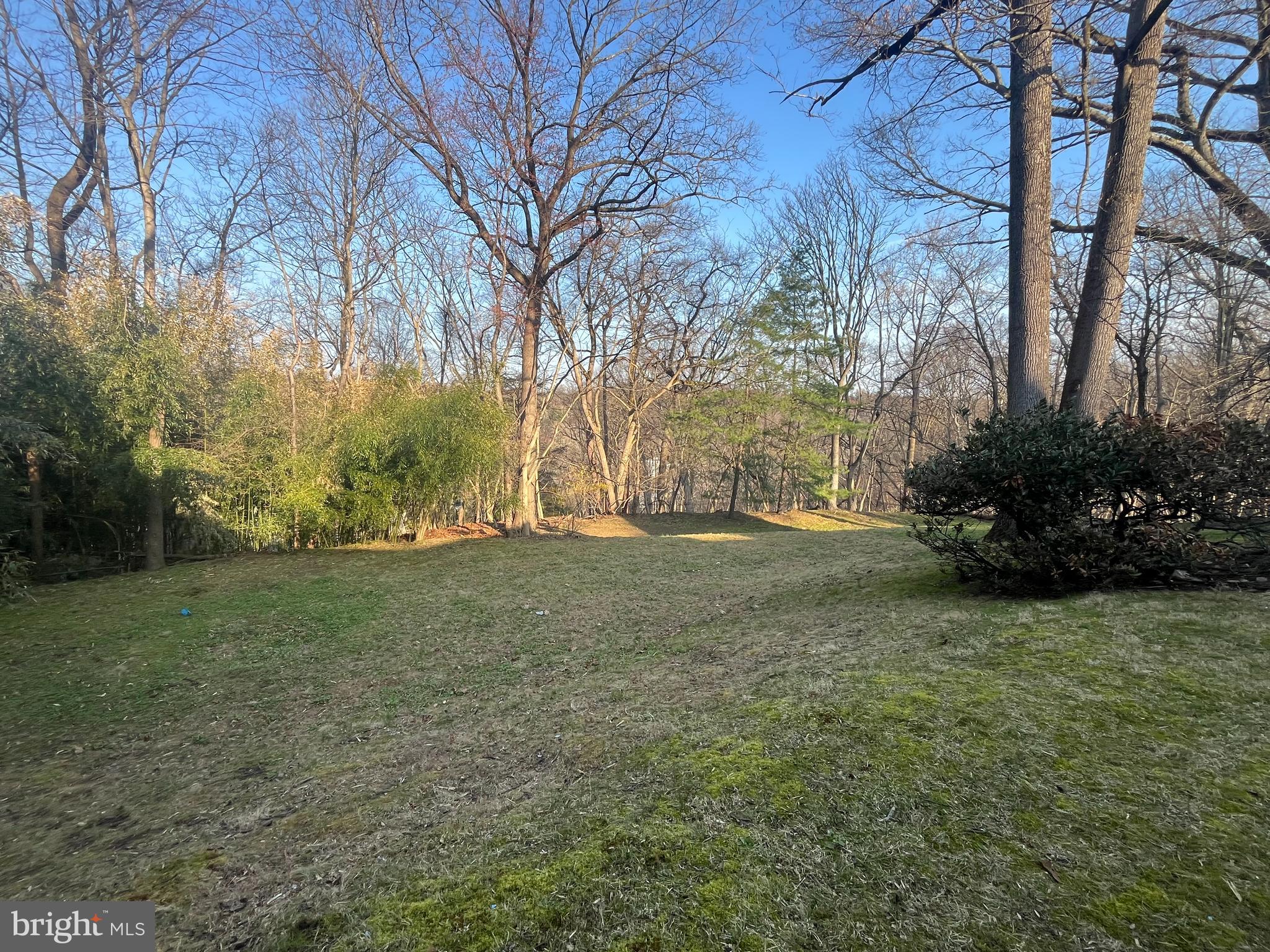 50 Fairview Road Penn Valley, PA 19072 - Photo 50 of 52 Backyard