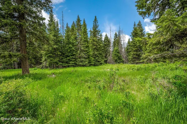 $199,000 | 100 Timberline Drive, St. Maries, ID 83861