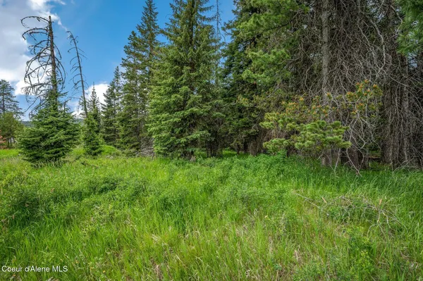 $199,000 | 100 Timberline Drive, St. Maries, ID 83861