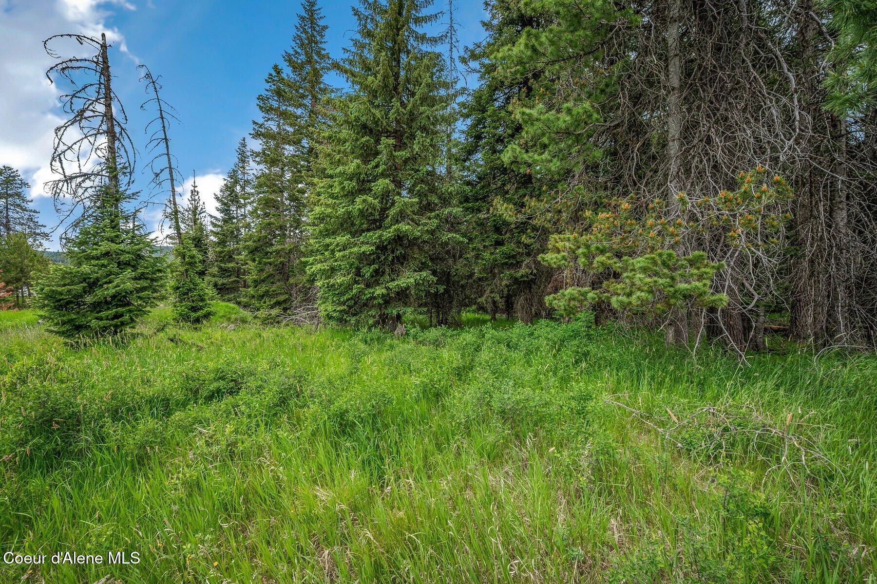 100 Timberline Drive St. Maries, ID 83861 - Photo 16 of 44 --9.jpg-SMALL