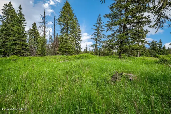 $199,000 | 100 Timberline Drive, St. Maries, ID 83861