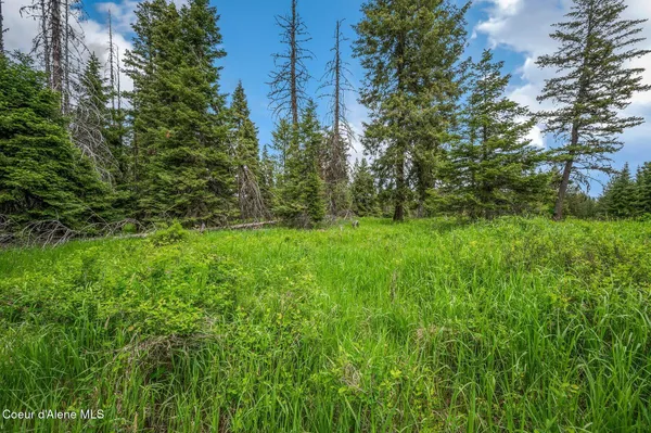 $199,000 | 100 Timberline Drive, St. Maries, ID 83861