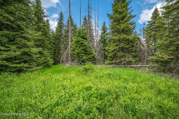 $199,000 | 100 Timberline Drive, St. Maries, ID 83861