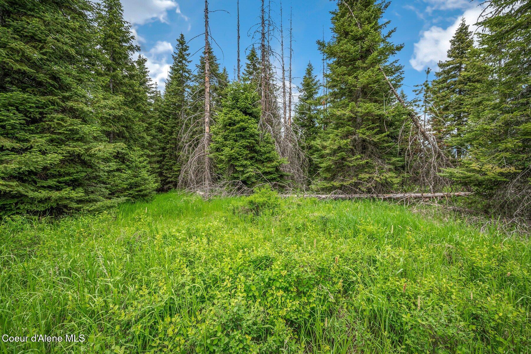 100 Timberline Drive St. Maries, ID 83861 - Photo 19 of 44 --12.jpg-SMALL