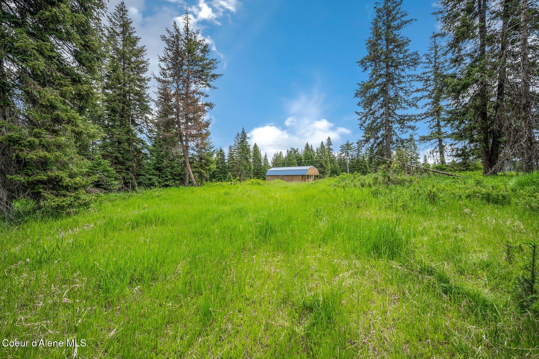 100 Timberline Drive St. Maries, ID 83861 - Photo 3 of 44 --15.jpg-SMALL